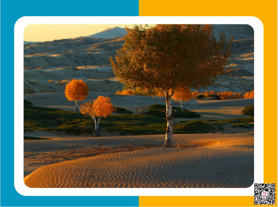 初冬时节，新疆沙漠公园让你嗨翻天！